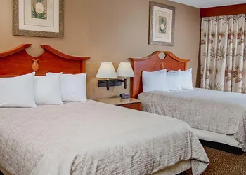 Treasure Island Resort & Casino hotel thumbnail 4