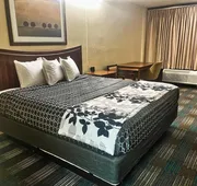 Executive Inn Laurel hotel detail image 7