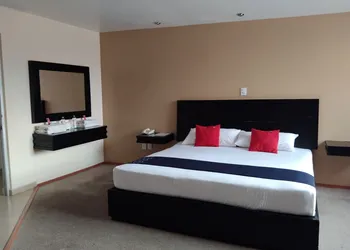 Hotel Euro ConfortPachuca hotel thumbnail 5