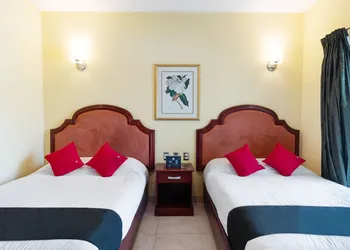 Capital O Hotel Vitalé Leon MX hotel thumbnail 5