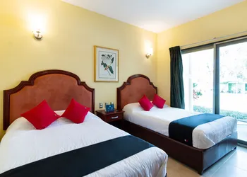Capital O Hotel Vitalé Leon MX hotel thumbnail 6
