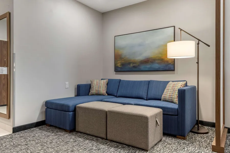 Comfort Suites Greenville Airport hotel detail image 6