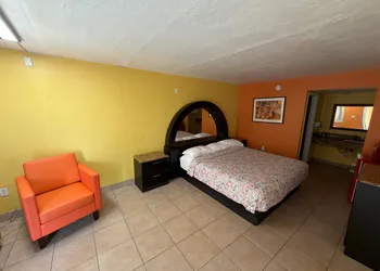 Apollo Inn hotel thumbnail 4