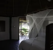 Blue Holbox Beach Front hotel detail image 3