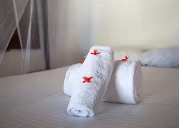 Blue Holbox Beach Front hotel thumbnail 5