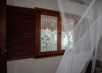 Blue Holbox Beach Front hotel thumbnail 6
