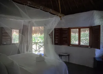 Blue Holbox Beach Front hotel thumbnail 7