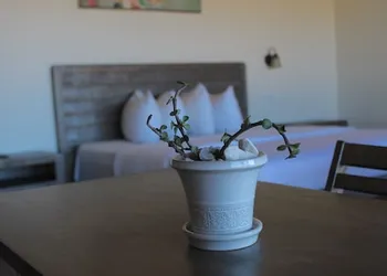 Entrevalle Hotel Boutique hotel thumbnail 5