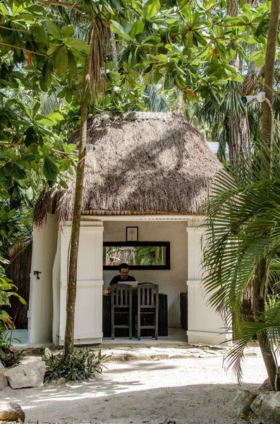 Nest Tulum hotel detail image 2