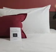 Mc Suites Mexico City hotel detail image 7