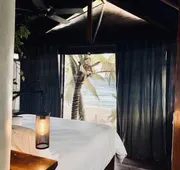 Libelula Tulum Beachfront Hotel hotel detail image 5