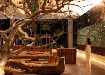 Solaz, A Luxury Collection Resort, Los Cabos a Marriott Hotel hotel thumbnail 3