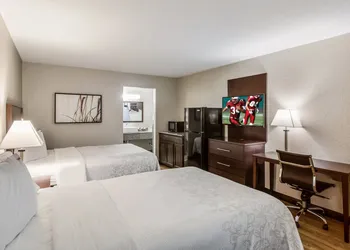 Red Roof Inn PLUS+ Dallas – Addison hotel thumbnail 5