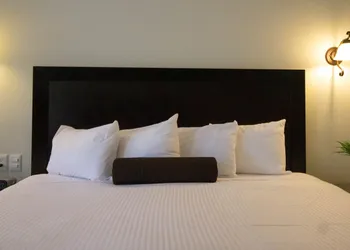 Hotel del Rio hotel thumbnail 6