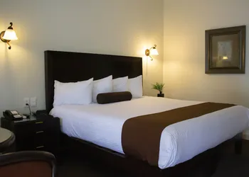 Hotel del Rio hotel thumbnail 8