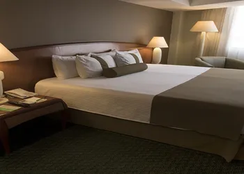 Hotel Misión Toreo Centro De Convenciones hotel thumbnail 5