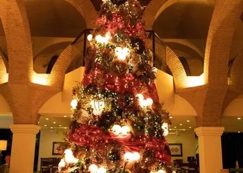 Velas Vallarta Suites Resort All Inclusive hotel thumbnail 2