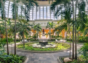 JOIA Paraíso by Iberostar - Adults Only - All Inclusive hotel thumbnail 5