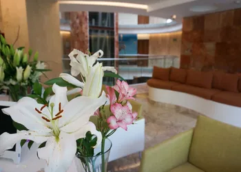 Senses Quinta Avenida By Artisan Adults Only hotel thumbnail 2