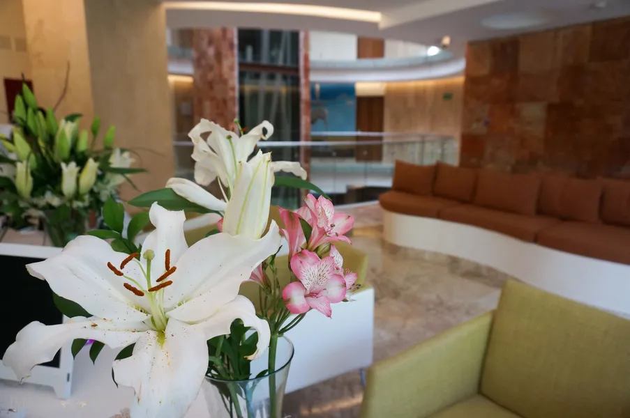 Senses Quinta Avenida By Artisan Adults Only hotel detail image 2