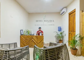 Hotel Banana Boutique & Spa by Paradise Hotels - 5th Av Playa del Carmen hotel thumbnail 4