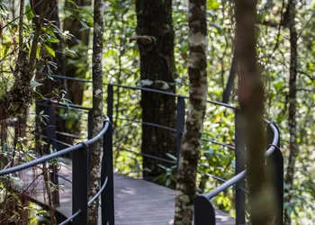 Rodavento Valle de Bravo hotel thumbnail 5