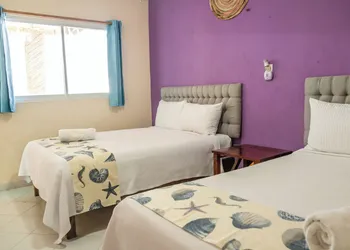 Hotel Pelicano hotel thumbnail 6