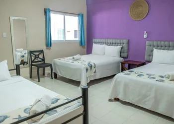 Hotel Pelicano hotel thumbnail 7
