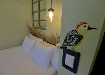 Straw Hat Tulum hotel thumbnail 5