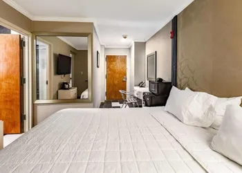 Umbrella Hotel Brooklyn hotel thumbnail 3