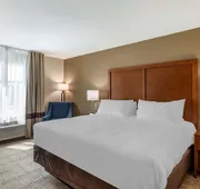 Comfort Inn & Suites Waller hotel detail image 4