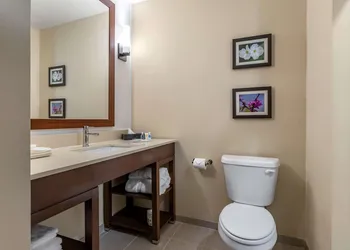 Comfort Inn & Suites Waller hotel thumbnail 7