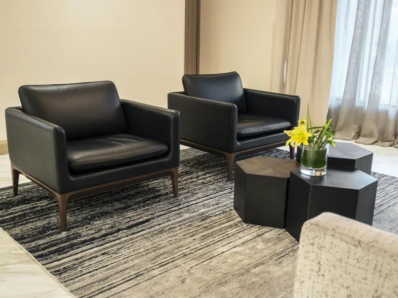 MS Milenium Monterrey, Curio Collection by Hilton hotel detail image 2