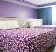 Hotel Max hotel detail image 4