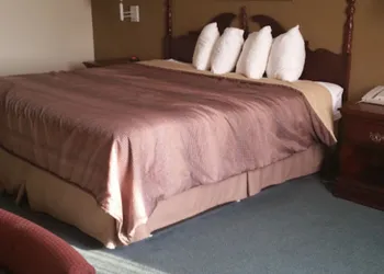 Collins Inn & Suites hotel thumbnail 3