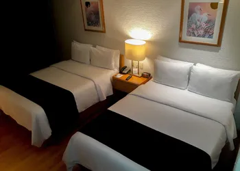Hotel PF hotel thumbnail 4