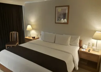 Hotel PF hotel thumbnail 6