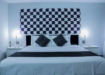 Hotel El Ejecutivo by Reforma Avenue hotel thumbnail 5