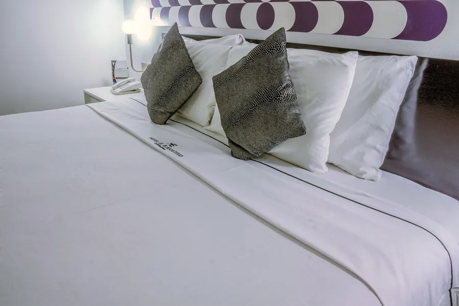 Hotel El Ejecutivo by Reforma Avenue hotel detail image 6
