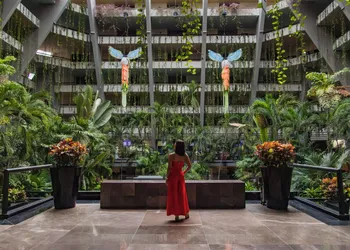 The Grand Oasis Cancun - All Inclusive hotel thumbnail 2