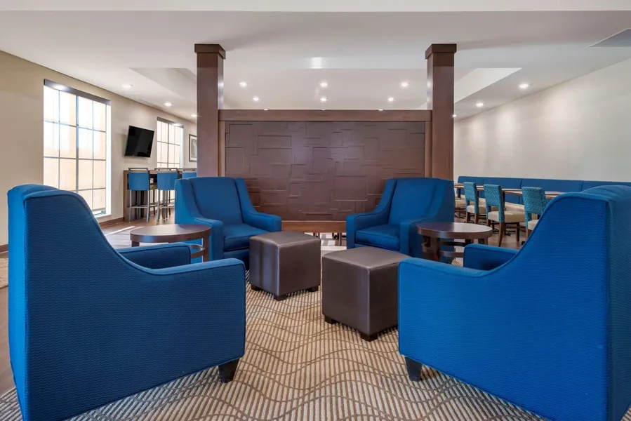 Comfort Inn & Suites hotel detail image 2