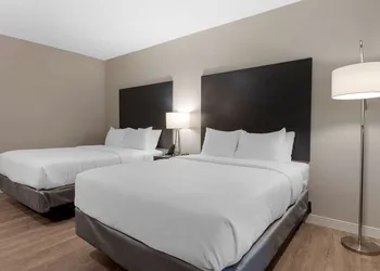 Comfort Suites Cincinnati University - Downtown hotel thumbnail 6