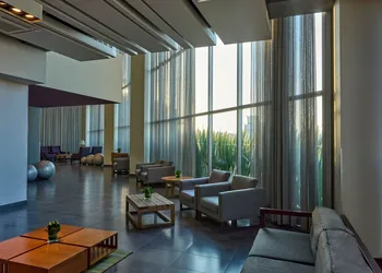 City Express Plus by Marriott Ciudad de México Patio Universidad hotel thumbnail 5