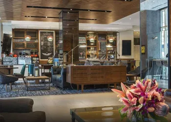 The Chicago Hotel Collection - Magnificent Mile hotel thumbnail 4