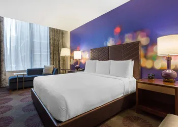 The Chicago Hotel Collection - Magnificent Mile hotel thumbnail 7