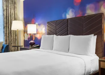 The Chicago Hotel Collection - Magnificent Mile hotel thumbnail 8