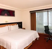Holiday Inn San Luis Potosi Quijote by IHG hotel detail image 7