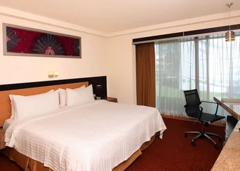 Holiday Inn San Luis Potosi Quijote by IHG hotel thumbnail 7