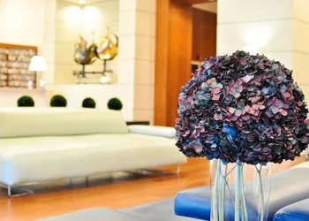 iCoconutGrove Vacation Rentals hotel thumbnail 2