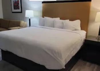 University Inn of Carbondale hotel thumbnail 7
